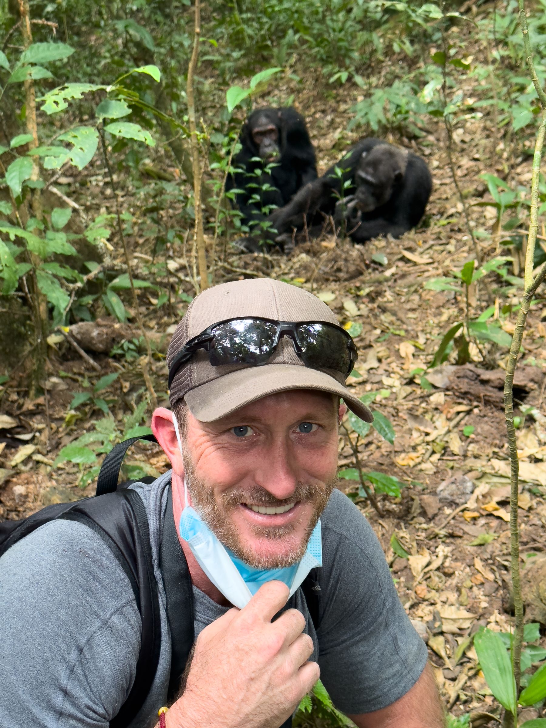 Me Selfie Chimps